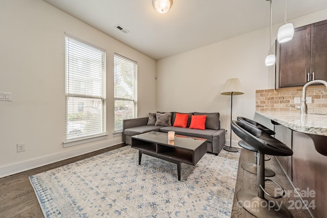 living room featuring sink and dark wood-type flooring