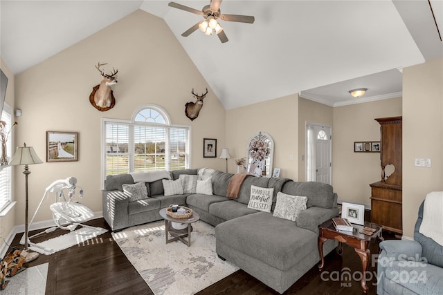 living room featuring dark hardwood / wood-style flooring, high vaulted ceiling, ceiling fan, and crown molding