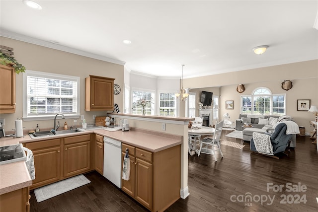 kitchen with dark hardwood / wood-style flooring, white dishwasher, plenty of natural light, and sink