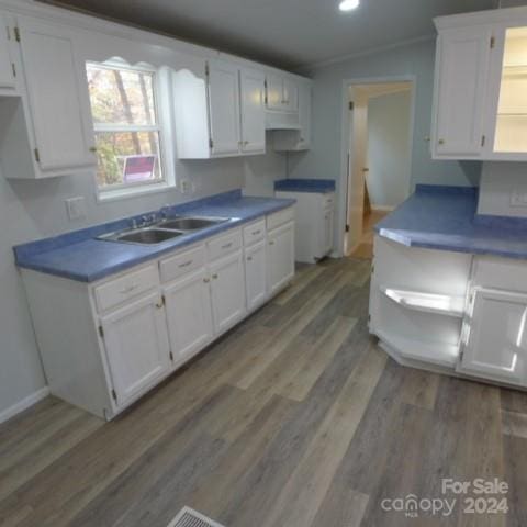 kitchen with sink, white cabinets, and dark hardwood / wood-style floors