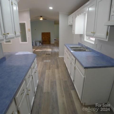 kitchen with white cabinetry, sink, ceiling fan, and wood-type flooring