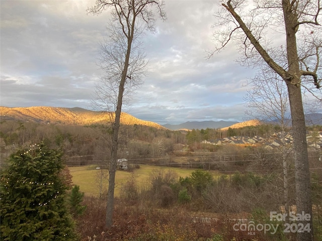 property view of mountains