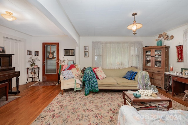 living room featuring hardwood / wood-style floors