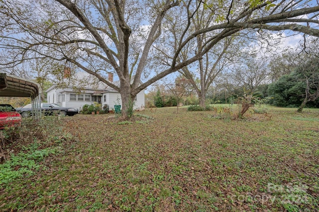 view of yard featuring a carport