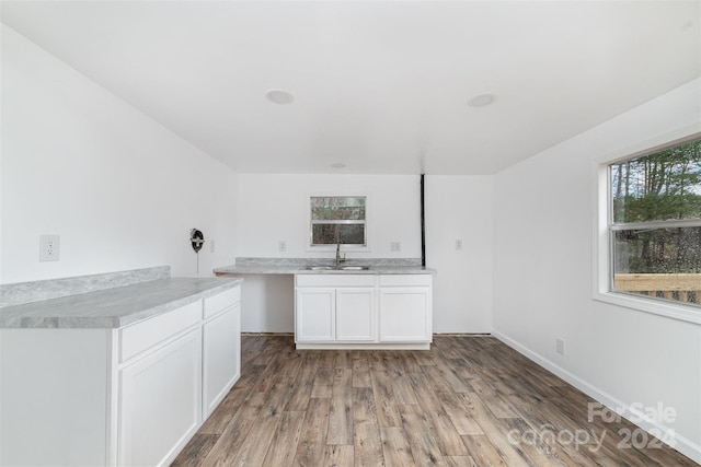 kitchen with hardwood / wood-style flooring, white cabinetry, and sink