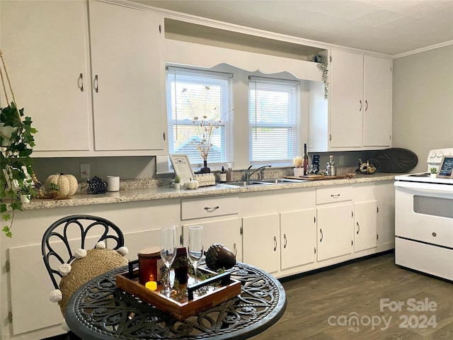 kitchen with dark hardwood / wood-style floors, white cabinetry, electric stove, and crown molding