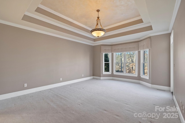 carpeted spare room featuring a tray ceiling and ornamental molding