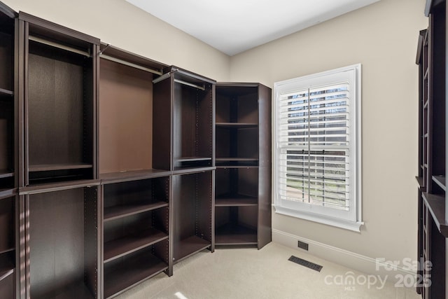 spacious closet featuring light colored carpet