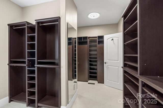 view of spacious closet