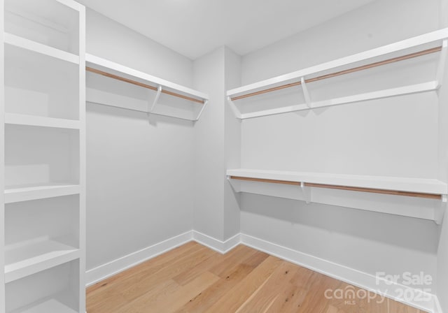 spacious closet with wood-type flooring