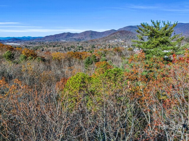 99999 Highland Dr Unit 15R, Black Mountain NC, 28711 land for sale