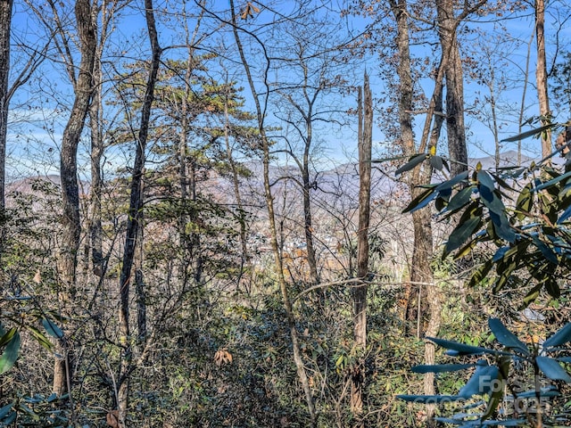 Listing photo 2 for 99999 Highland Dr Unit 15R, Black Mountain NC 28711