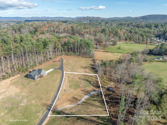 00 Kelly Daniele Ln Unit 4, Hendersonville NC, 28739 land for sale