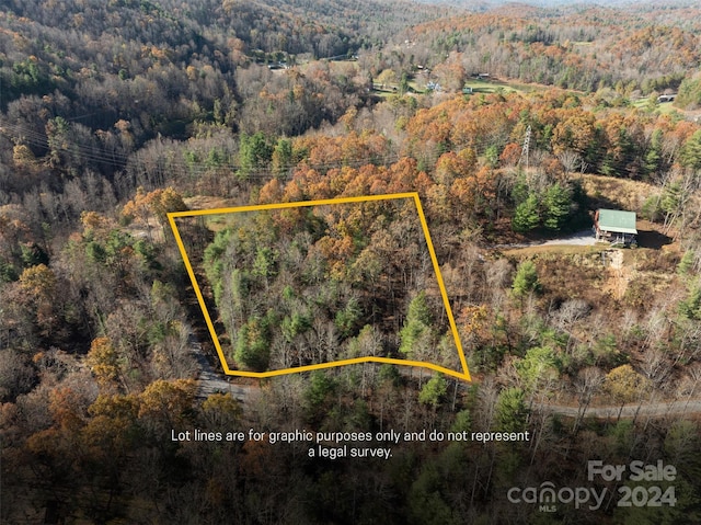 99999 Big Raven Ln, Saluda NC, 28773 land for sale