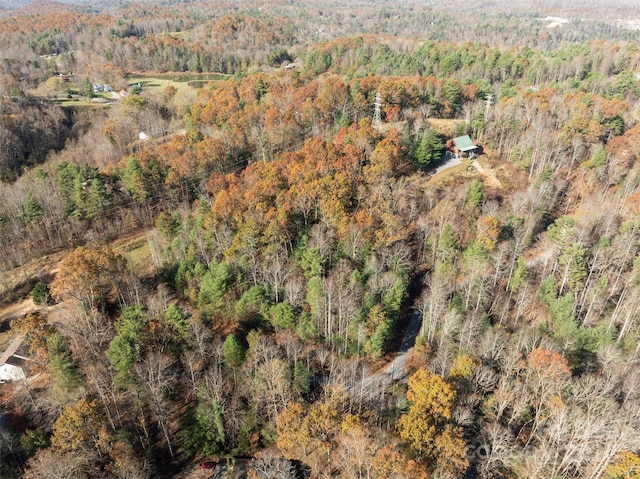99999 Big Raven Ln, Saluda, NC 28773 - photo 2