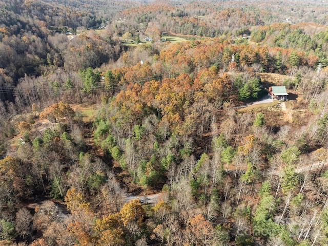 99999 Big Raven Ln, Saluda, NC 28773 - photo 4