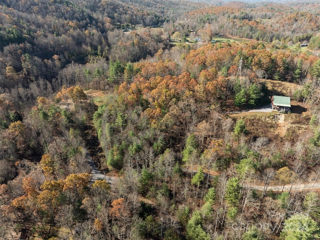 99999 Big Raven Ln, Saluda, NC 28773
