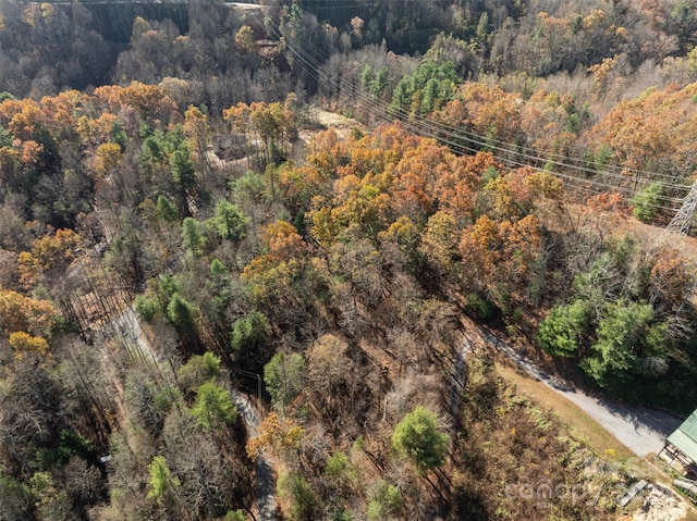 99999 Big Raven Ln, Saluda, NC 28773