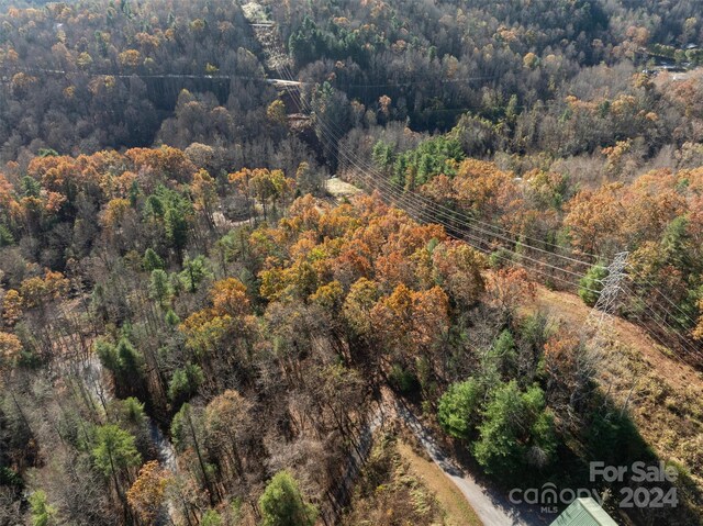 99999 Big Raven Ln, Saluda, NC 28773