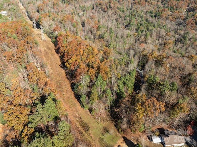 99999 Big Raven Ln, Saluda, NC 28773