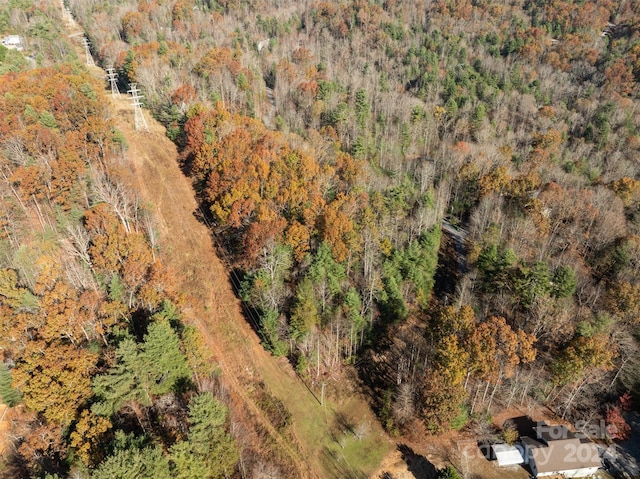 99999 Big Raven Ln, Saluda, NC 28773 - photo 9