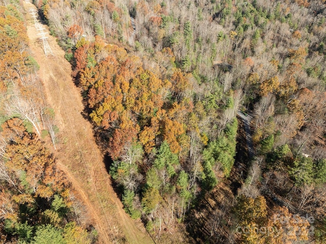 99999 Big Raven Ln, Saluda, NC 28773