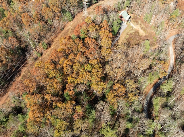 99999 Big Raven Ln, Saluda, NC 28773
