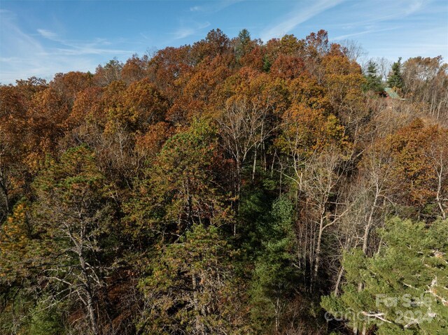 99999 Big Raven Ln, Saluda, NC 28773
