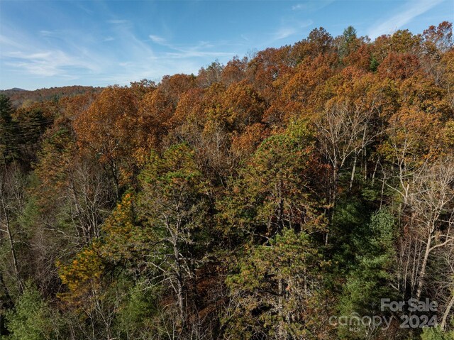 99999 Big Raven Ln, Saluda, NC 28773 - photo 14