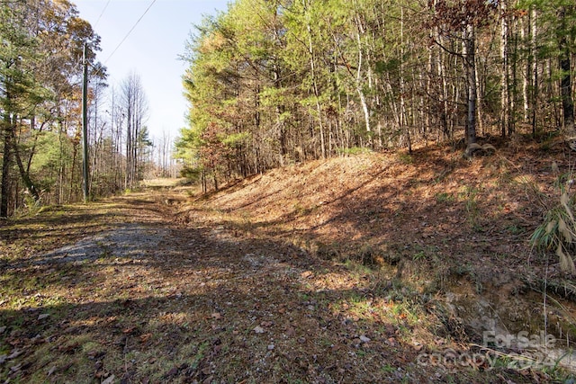 99999 Big Raven Ln, Saluda, NC 28773