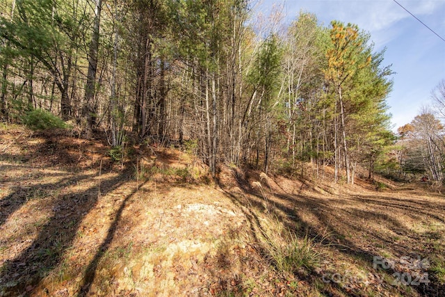 99999 Big Raven Ln, Saluda, NC 28773