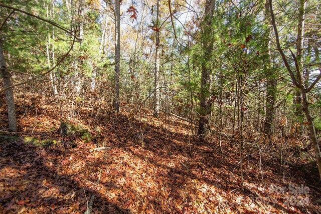 99999 Big Raven Ln, Saluda, NC 28773