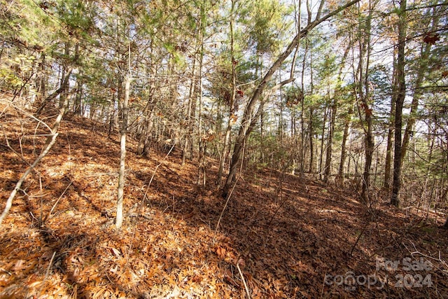 99999 Big Raven Ln, Saluda, NC 28773