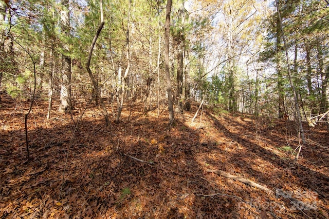 99999 Big Raven Ln, Saluda, NC 28773