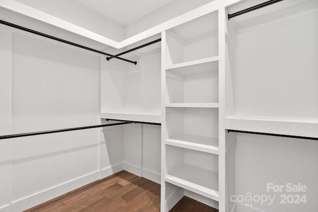 walk in closet featuring wood-type flooring