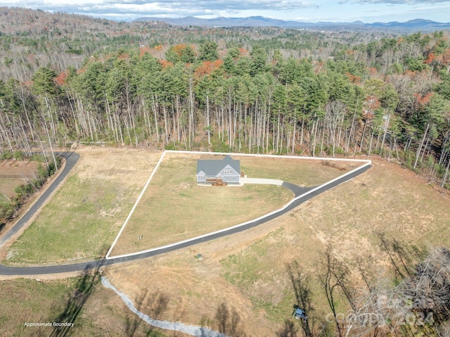 drone / aerial view with a mountain view