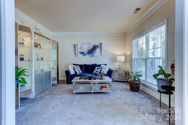 living room with carpet flooring and crown molding