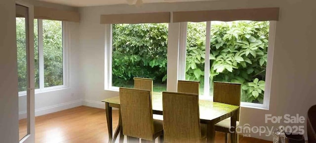 dining space with plenty of natural light and light hardwood / wood-style floors