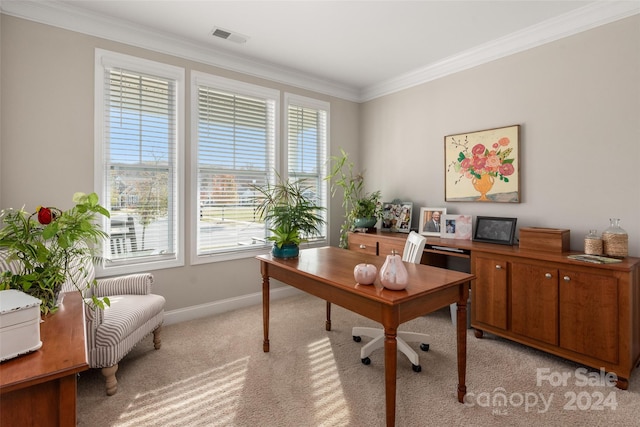 office featuring light colored carpet and crown molding