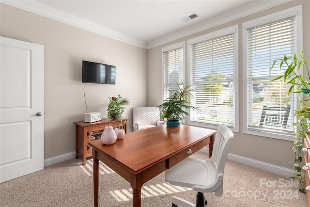 carpeted home office featuring crown molding