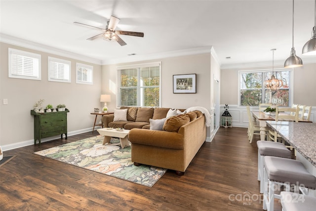 living room with ceiling fan with notable chandelier, ornamental molding, and dark wood-type flooring