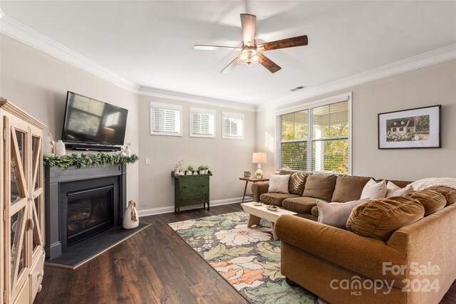 living room featuring ornamental molding, ceiling fan, and dark wood-type flooring