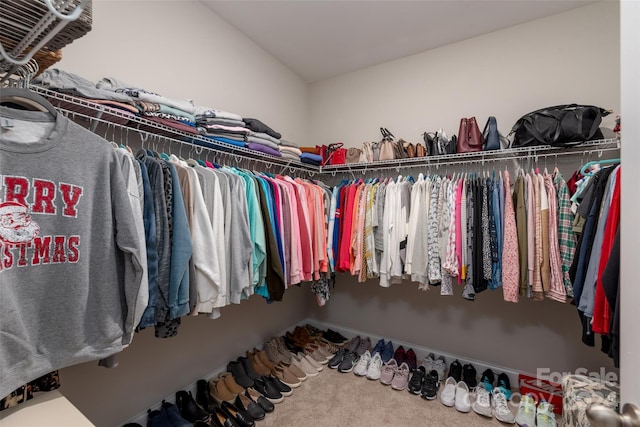 walk in closet with carpet floors