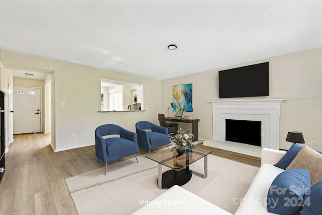 living room with a fireplace and wood-type flooring