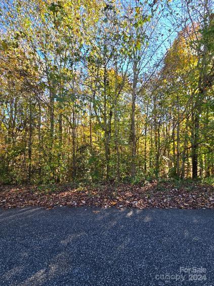 LOT97 Brave Ave Unit 97, Maiden NC, 28650 land for sale