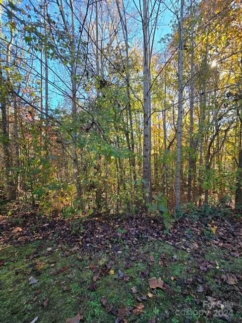 LOT98 Brave Ave Unit 98, Maiden NC, 28650 land for sale