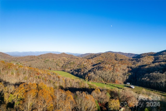 99999 S Turkey Creek Rd, Leicester NC, 28748 land for sale