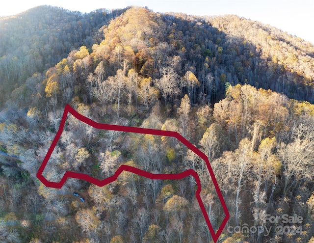 99999 S Turkey Creek Rd, Leicester, NC 28748 - photo 2