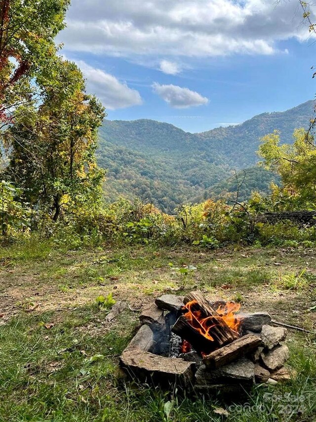 99999 S Turkey Creek Rd, Leicester, NC 28748 - photo 18