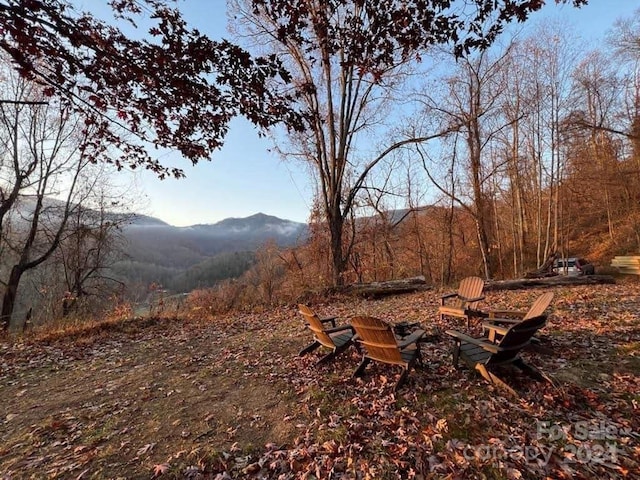 99999 S Turkey Creek Rd, Leicester, NC 28748 - photo 19